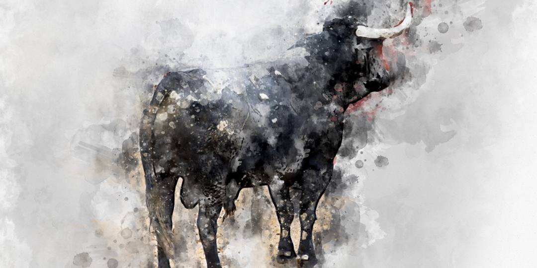 artes graficas taurinas