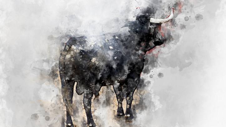 artes graficas taurinas artes graficas taurinas